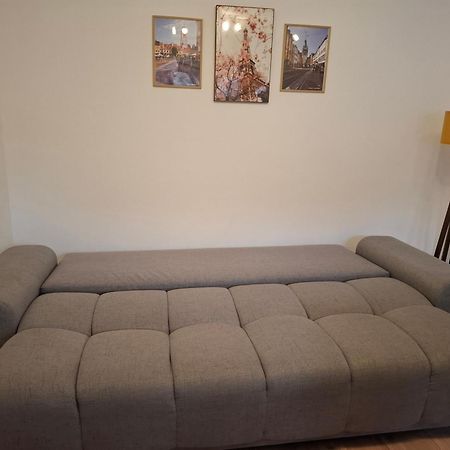 Free Garage In The Center-Delicia 4 Studio! Сибиу Екстериор снимка