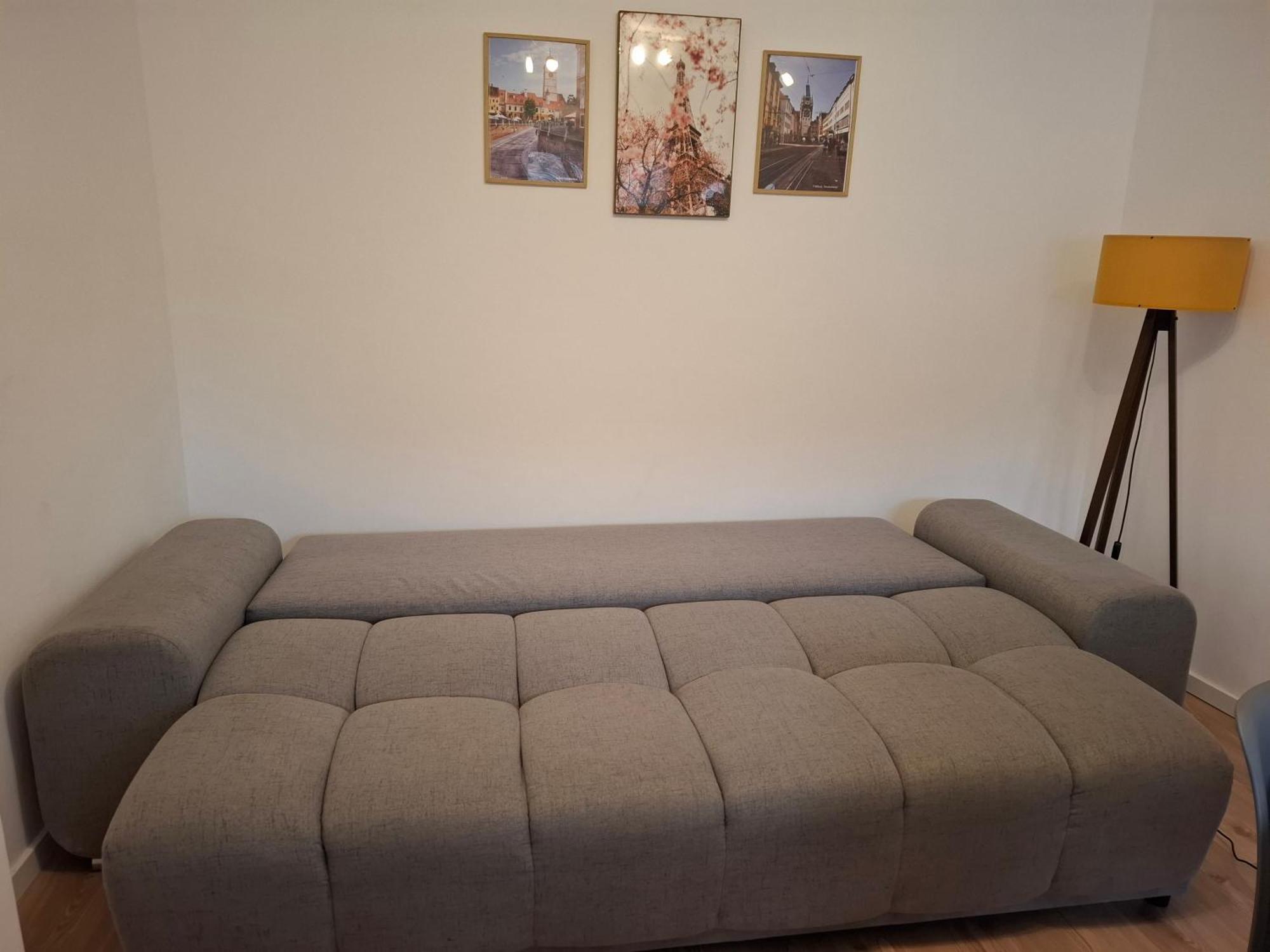 Free Garage In The Center-Delicia 4 Studio! Сибиу Екстериор снимка